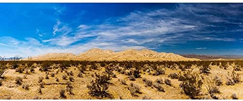AWERT 24x16 inç Teraryum Arka Plan Mavi Gökyüzü Oasis Çöl Gobi Sürüngen Habitat Arka Plan Vinil