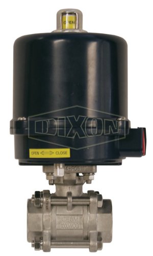 Dıxon BV2IG-30011-EK 3 316Ss 3 parça elektrikle çalışan FNPT küresel vana, ısı, 220 VAC, NEMA4