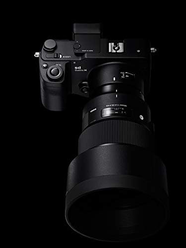 Sigma 105mm f/1.4 DG HSM Sanat nikon için lens F (259955 )