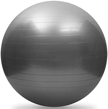 YARNGI 55 cm Yoga Topu Spor Fitness Topu, PVC Denge Topu, Denge mat, Yoga Şekillendirme Kalınlaşmış Yoga Topu