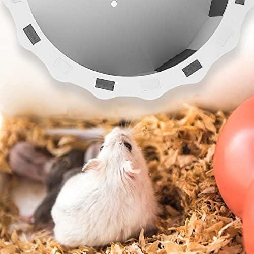 Ipetboom Whee-lo Oyuncak Dilsiz Koşu Gine Hamster Tekerlek Oynarken Beyaz Aksesuarları veya Domuz Sıçan Oyun Evcil