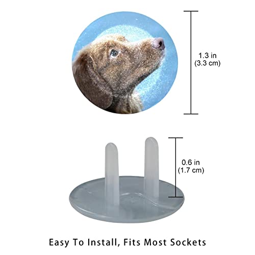 24 Paket Çocuk Geçirmez Elektrik Koruyucu Güvenlik Kapaklar Bebek prova Çıkış Fişi Kapakları Görünümlü Köpek