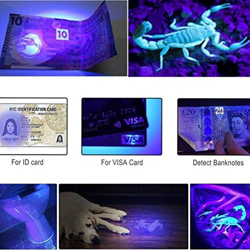wollcocer siyah ışık UV el Feneri 12 LED 395nm Ultraviyole Mavi ışıklı fener Akrepler için Köpek Kedi Pet idrar Dedektörü