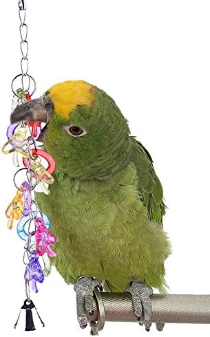 Kuşlar Papağan Çiğnemek Oyuncak Salıncak Renkli Akrilik Asılı Oyuncak Pet Parrot Amerika Papağanı Papağanının Budgie
