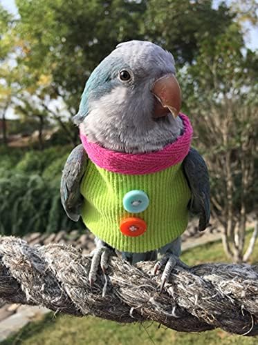 Kuş Giysileri-Düğmeleri ile el yapımı Kuş Kazak Gömlek Papağanlar için Uçuş Takım Afrika Griler Parakeet Papağanının