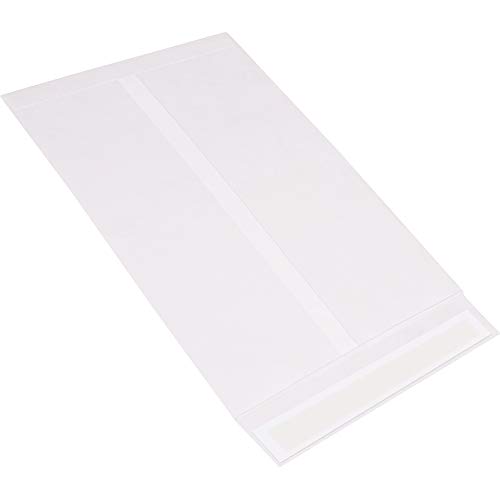 Tyvek® Düz Zarflar, 13 x 19, Beyaz, 100 / Kutu