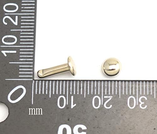 Wuuycoky Simli Çift Kap Mantar Perçin Metal Çiviler Kap 8mm ve Sonrası 6mm 300 Takım Paketi