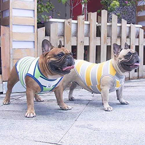 ıChoue Köpek T Shirt Tank Top Giyim Fransız İngilizce Bulldog Frenchie Pug-Yeşil Beyaz, Küçük