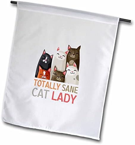 3dRose Komik Kediler-Tamamen Aklı başında kedi Hanımefendi. Kedi, evcil hayvan Severler için hediye - Bayraklar (fl-370883-2)