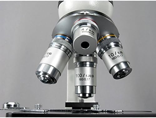 AmScope M600B Bileşik Monoküler Mikroskop, WF10x ve WF20x Oküler, 40x-2000x Büyütme, Brightfield, Tungsten Aydınlatma,