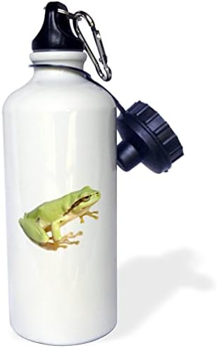 3dRose Sevimli Avrupa Yeşil Ağaç Kurbağası Kesilmiş Su Şişeleri (wb-374145-1)