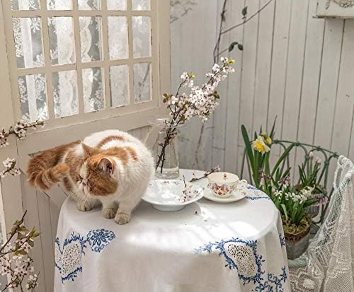 123Arts seramik kedi ve çiçek kahve kupa çay fincanı tabağı ile ayarla
