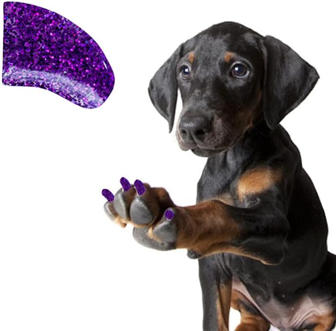 Güzel Pençeleri 1 Yıl Tedarik Yumuşak Tırnak Kapakları için Yapıştırıcı ile Köpek Pençeleri - Ametist Glitter X-Küçük