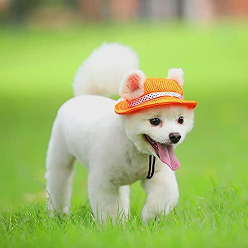 Köpekler için şapkalar Prenses Pet Kap Yuvarlak Ağız Köpek siperlikli şapka Yaz Açık Köpek Nefes güneşlikli kep