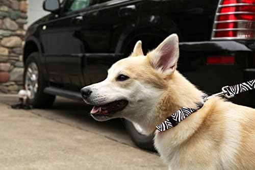 Geyik Evcil Hayvan Giyim Köpek Tasması-Desenli Ayarlanabilir evcil hayvan tasmaları, ABD'de üretilmiştir - 1 İnç Genişliğinde,
