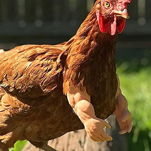 WWDZ Tavuk Kol Oyuncak Gag Hediye Tavuk Kolları Sahne Tavuk Ön Ayak Dekorasyon Parodi Parti Dropship Çiftlik Malzemeleri