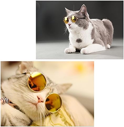 Coolrunner Sevimli ve Komik Pet Güneş Gözlüğü Klasik Retro Dairesel Metal Prens Güneş Gözlüğü Kediler veya Küçük Köpekler