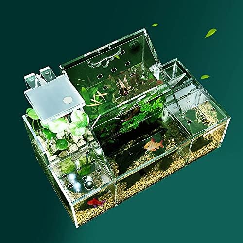 JYDQM Akvaryum Balık Tankı Akrilik Küçük Balık İzolasyon Kutusu Şeffaf Üreme Kutusu Yaratıcı Masaüstü Betta Balık