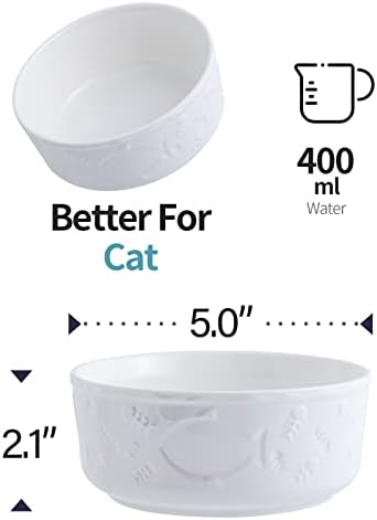 Qcapet CeramicPet yiyecek kasesi İki kedi kasesi Bulaşık Makinesinde Yıkanabilir Küçük Kedi maması ve su kasesi Seti