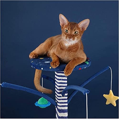 Kedi Ağacı Yıldızlı Gökyüzü Kedi tırmalama sütunu Kedi Ağacı Asılı Top, Dayanıklı Kedi Scratcher Sisal Halat Kedi