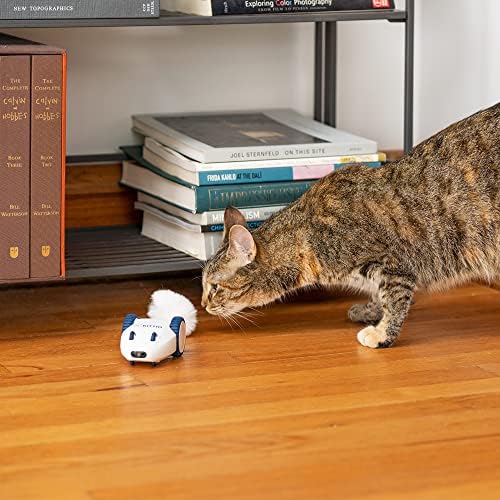 Kittio Robo Mouse-İnteraktif Fare Kovalamaca Kedi Oyuncağı-USB Şarj-Akıllı Direksiyon Sensörleri ve Hareket Aktif